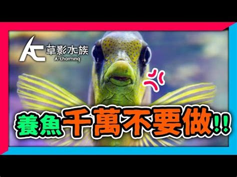 魚死掉要換水嗎